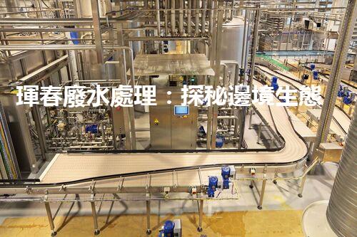 琿春廢水處理：探秘邊境生態(tài)管理新突破！